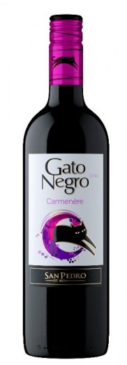 gato negro carmen re